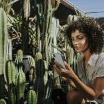 Requisitos de tierra para Cactus de Exterior