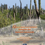 Investigaciones sobre cactus columnares y ecosistemas en recuperación